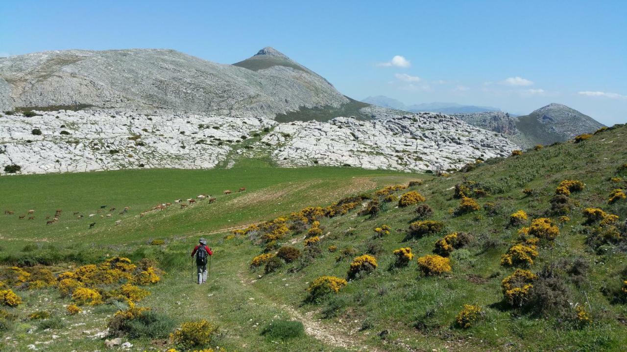 Casa Rural El Puerto El Chorro Εξωτερικό φωτογραφία